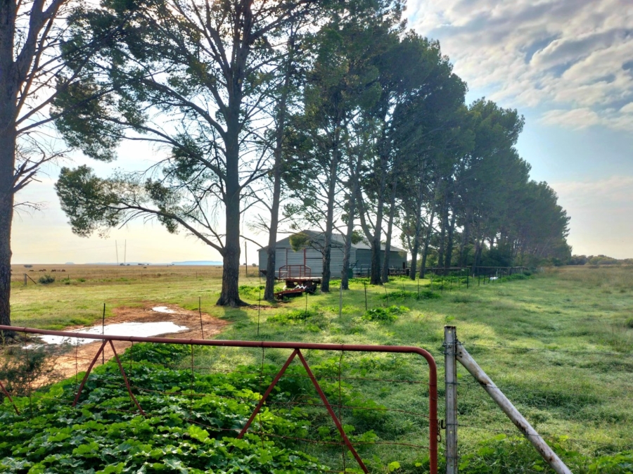 3 Bedroom Property for Sale in Bloemfontein Rural Free State